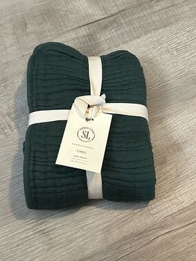 Southern Living Casey One King Sham 100% Cotton 20x36 Green NWT